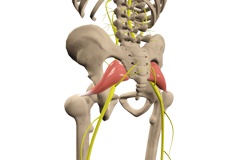 Piriformis Syndrome